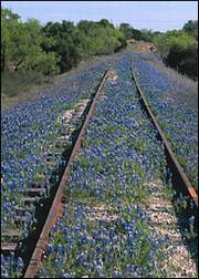 railroad image
